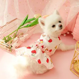 Hundkläder Little Princess Kjol Teddy Clothes Summer Thin Cat Bear Bomei Puppy Pet Pattern Material Ursprung Säsong