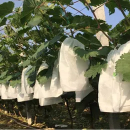 50pcs frutas bolsas cultivadas anti -pássaros com proteção de luto para proteção de praga ferramenta de controle de pragas evita plantas bolsas de cultivo ferramentas de jardim