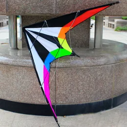 Outdoor Fun Sports NEW 48/71 Inch Dual Power nt Kites /Triangle Kite For Adults With Handle And Line Good Flying 0110