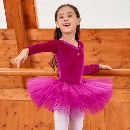 Stage Wear Velvet Ballet Dance Leotard For Girls Professional Tutu Dancing Dress Fairy Costume Bailarina Unitard JL1981