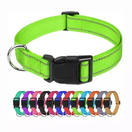 Reflekterande hundar Colars Colorful Fade -Proof Designer Belt för stort med mjuk neopren vadderad andningsbar nylonvalpkrage Justerbara husdjursförsörjningar A0111