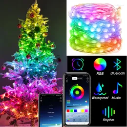 Saiten 20M Smart App Control Fairy Light Outdoor RGB Bluetooth Weihnachtsbaum String USB Girlande für Hochzeit Urlaub Dekor