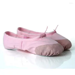 Stage Wear Child And Adult Ballet Pointe Dance Shoes Canvas Flat Slippers Ballerina Kids Girls Gymnastics Women