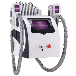 Congelamento grasso Macchina dimagrante Cryolipolysis Freeze Buldges testardi 2 Maniglie Attrezzatura professionale per crioterapia Perdere peso