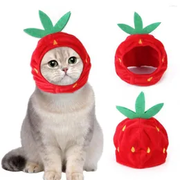 Собачья одежда котенок котенок прекрасная щенка фруктовая шляпа творческая мода