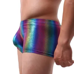Underbyxor grossist Rainbow herrboxare underkläder sexig stor u konvex penis ficka manliga trosor låga midja boxare trosor för män