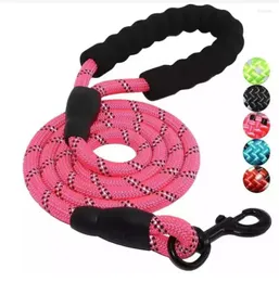 Dog Collars Pet Rope Wholesale Reflective Nylon Lead Foam Pull Belt Large Chain