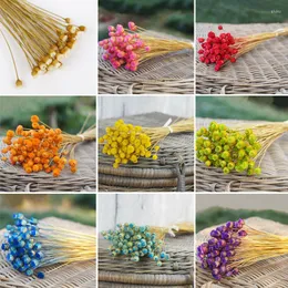 Decorative Flowers 50 Stems Dried For Arrangements Bundle Home Decor Po Props Handmade Air-drying