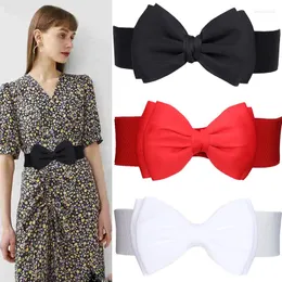 Kemerler Siyah Bel Bowknot Ladies Ceinture Kore tarzı rüzgarlık elastik tasarımcı kuşak kadınlar lüks