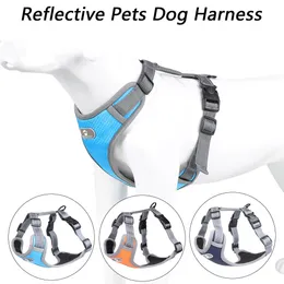 Dog Tag ID Card Pets Harness and Leash Set Chest for S Belt Reflective Vest Small S Puppy Cat Medium Big Pet Accessories 230113