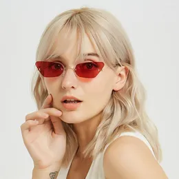 Sunglasses Rimless Narrow Small Ocean Color Women Men Steel Wire Legs Brand Designer Modern Vintage Sun Glasses Red Pink