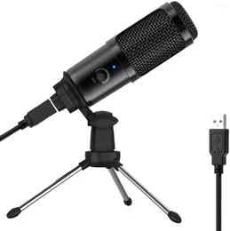 Microfones microfone USB com ganho de microfone 192KHz/24bits PC Microfona Microfona Youtube Condensador de computador para gravar streaming de jogos