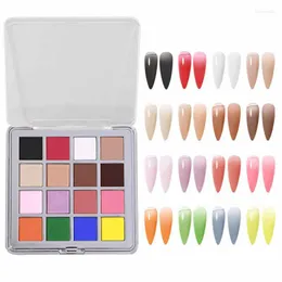 Kit Nail Art Kit Dip in Polvere 16 Colori Sfumati Glitter Effetto Specchio Aurora Cromo