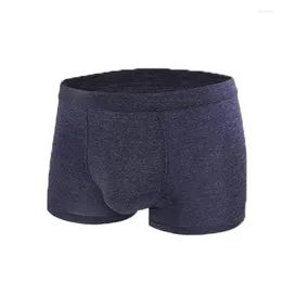 Mutande 4 pezzi di cotone intimo da uomo boxer mutandine maschili traspirante boxer uomo sexy solido confortevole pantaloncini taglie forti lotto