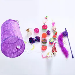 Cat Toys 17pcs مجموعة لعبة Pet Toy Set Feather Fish Mouse Ball Tunnel Interactive for Cats199g