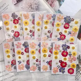 Decorative Flowers 22pcs/set Pressed Dried Flower Leaf Plant Herbarium For Jewelry Bookmark Postcard Phone Case Invitation Card DIY Design-3