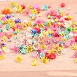 Decorative Flowers Wholesale 50G/lot Dried Flower Head Daisy Plants For Epoxy Resin Pendant Necklace Jewelry Making Craft DIY Nail Art