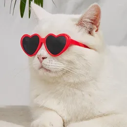 Abbigliamento per cani occhiali da gatto cool Pet Piccola moda Prodotto rotondo per piccoli occhiali da sole Pografia Accessori