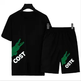 Moda Yaz Erkek Trailsits Kısa Kollu Şort Takım 2 Parça Set 2022 Klasik Erkekler T-Shirt Plajı Pantolon 2 PCS Sport