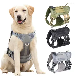 Dog Collars戦術的な大型ハーネスペット屋外軍事トレーニングベストとリーシュセットビッグマリノイドーバーマンアクセサリー