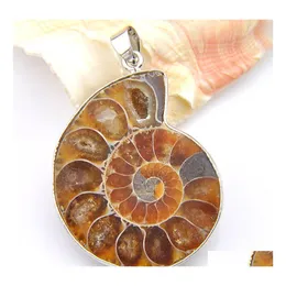 Pendant Necklaces Luckyshine Handmade Natural Ammonite Fossil Pendants Sier Classic Fashion Accessories For Women Men Necklace Jewel Dhys4