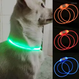 Hundhalsar LED-blinkande krage Pet Safety Belt Waterproof Light Luminous Night Anti-Lost Warning Cat och kan skäras