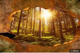 월페이퍼 아름다운 경치 돌담 나무 태양 숲 3d 3 차원 큰 배경