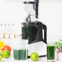 Juicers hushåll Electric Fruit Slow Juicer Juice Extractor