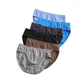 Cuecas 6pcs/lot homens cueca cueca masculino de tamanho grande l-5xl calcinha sólida confortável