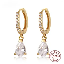 Hoop Earrings S925 Sterling SIlver Waterdrop Lab Diamond Gold For Women Cute Butterfly Horse Animal Circle