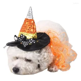 Abbigliamento per cani Costume di Halloween Parrucca da strega Cappello Chihuahua Accessori per gatti Per cani di piccola taglia Forniture Yorkshire Terrier Negozio di animali Acessorios
