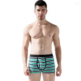 Underpants Man's Biecid Man's Pure Cotton Men's Stripes Seksowne bokser