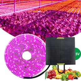 Grow Lights 5m Solar LED Full Spectrum Phyto Lamp 5V Light Strip 2835 Bead For Plants Flowers Greenhouse Cultivo Hydroponic