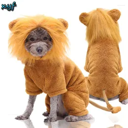 Vestuário para cachorro xyf roupas de quatro patas de quatro estações de flanela quente gato teddy bichon lutando na transformação de roupas de leão para cães