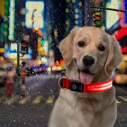 Dog Collars Collar Collar防水USB充電LEDペット対ロスト犬猫屋外ウォーキングナイトセーフティサプライアクセサリー