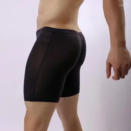 Mutande Sexy Uomo Biancheria intima di seta di ghiaccio Mutandine trasparenti a gamba lunga Boxer da uomo solido Boxer traspiranti Pantaloncini