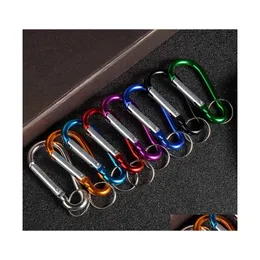 Key Rings Aluminum Carabiners Cam Outdoor Sport Alloy D Screw Lock Carabiner Clip Hook Keychain Screwgate Tools Dhs Drop Delivery Jew Dhq48