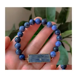 Bärade sträng naturlig ädelsten sten sodalit armband imperial jaspers rec bar charm real kyanite blå kvarts kristall armband reiki dr dhw56