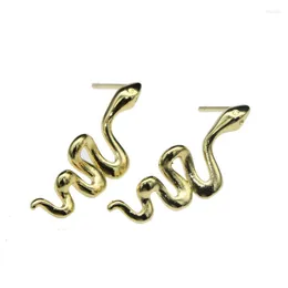 Hoop Earrings Wholesale Designer Earring Supplies Color Remain Gold Plated Copper Snake Stud For Women