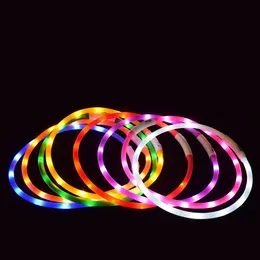 LED 충전식 광장 애완 동물 고리 USB Luminous Dog Collar Luminous Collar Pet Supplies