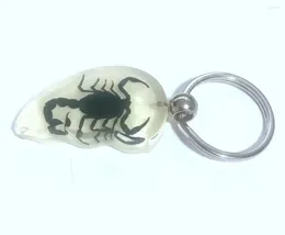 Keychains 5 PCS Real Black Gothic Scorpion Glow In Dark Fashion Keychain