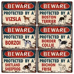 Cuidado Protegido Por Um Vizsla Dog Metal Signs Warning Dog Tin Poster Home Wall Art Painting Painting Decorative For Banheiro Sala de Estar Presente Personalizado 30X20CM w01