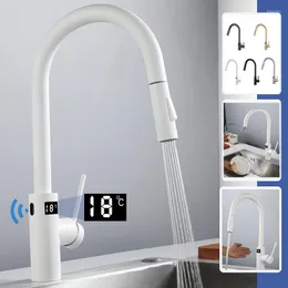 Mutfak muslukları kızılötesi akıllı musluk paslanmaz çelik dokunulmaz frap uzatılabilir sıcaklık akıllı su musluğu