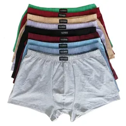 Cuecas 100 algodão Cuecas masculinas de tamanho grande Boxers mais shorts grandes cueca respirável 5XL 6XL 4 pçs lote 230802