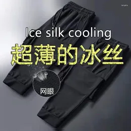 Men's Pants Mesh Breathable Casual Summer Thin Stretch Ice Silk Sports Air Conditioning Cold Loose