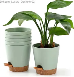 Planters Pots 5 packs of 5-inch self watering pots with drainage holes and wick ropes for indoor plants Z230802
