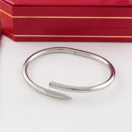 Titanium Steel Nail Bangle Armband Inlay Diamond Screw Cuff Armband Kvinnor Män smycken Valentins dag gåva No Box Set03