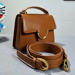 2023 New Shuangfei Swallow Bag Piccola borsa quadrata portatile Xiaolingling Ladies Messenger Bag Borsa femminile Nuovo portafoglio di grande capacità Temperamento Pendolarismo