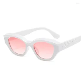 Solglasögon varumärkesdesigner Cat Eye Woman Söta sexiga solglasögon för kvinnliga stora ramglasögon
