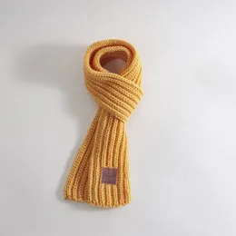 Sciarpe in cashmere Per le vendite Sciarpa di qualità Viene fornito con confezione WH809